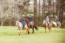 USA-Georgia-Heartland of Georgia SC Ranch